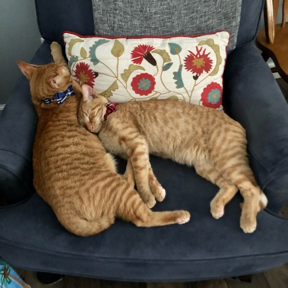 Meet your Posher, Jean - Picture 3 of 17